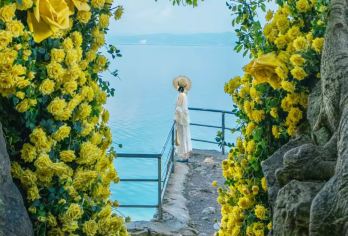 昆明出发抚仙湖包车【禄冲风景区+红沙滩+月亮湾湿地公园一日】【三色湖景盲盒：一次解锁禄冲的琉璃碧波、红沙滩的梦幻绯色、月亮湾的椰林银滩】