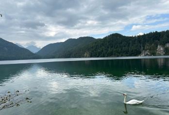 德国慕尼黑往返 新天鹅堡一日游 中文司导 畅玩三地 精品小团【探秘迪士尼城堡原型，走进路德维希二世的梦幻世界，欣赏拜占庭与哥特式结合的建筑奇观。】