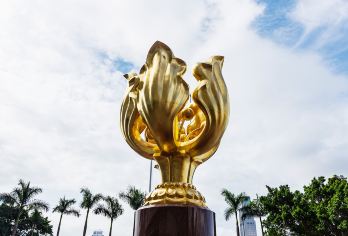 香港包车一日游【 阿尔法专车 深圳上门接送 司兼导】【体验当地深度游览，不再千篇一律 时间自由搭配组合，一日半日随心所欲，想怎么游你说了算！！】