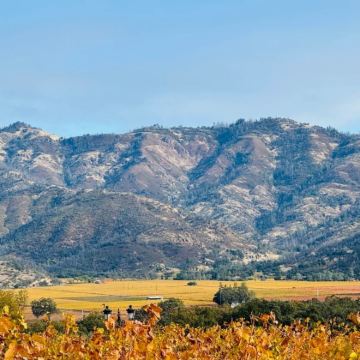 美国旧金山往返纳帕谷 NAPA -经典酒庄品酒包车-精选