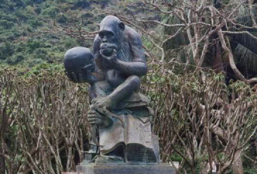 三亚南湾猴岛5座 7座包车游【1单1团·纯玩·专车】【1单1团·纯玩·专车】