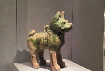 趣说家 【可选预约】河南博物院2小时大咖讲解·含高清耳麦【[精品小团]精品小团，拼团的价格，私家团的体验！】