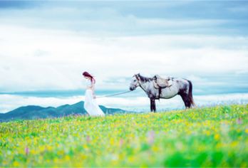 木兰围场+塞罕坝林海+乌兰布统草原包车一日游【门票全含】【用车+司机+门票】