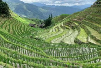 桂林私人度假之旅：龙脊梯田和长发寨探索之旅【令人叹为观止的景色：龙脊梯田一年四季都拥有令人惊叹的美景。 参观长发村可以让您有机会接触到当地的瑶族人民。他们独特的风俗习惯和传统服饰将带给您丰富的文化体验。 静谧休憩之所：这里比主要旅游景点人少清静，是亲近自然、放松身心的理想之地。】