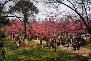 昆明定制包车：圆通山+云南民族村一日游/可选中英文导游%【环游世界[畅游90+国家地区，900+城市]】