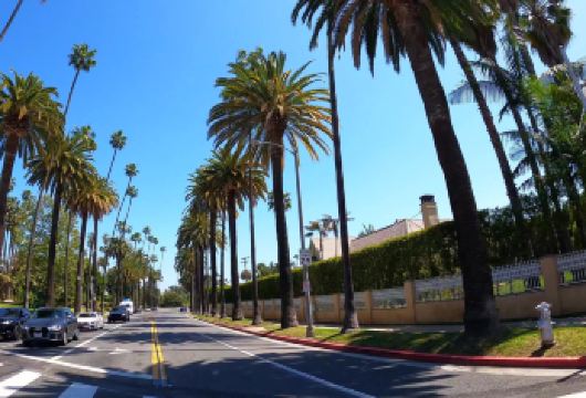洛杉矶市区包车一日游【走进天使之城-城市探索之旅】【包车游不拼车|中文司机服务|景点可调-可定制游】