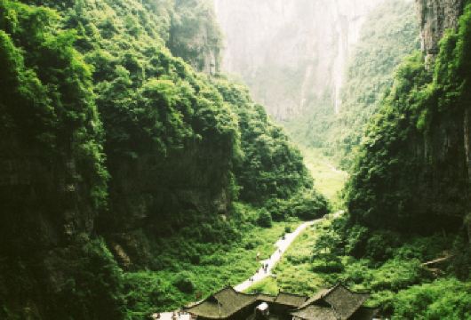 重庆武隆天生三桥+仙女山+乌江赤壁一日游【纯玩8人小团】【2-8人VIP小团，同团人数少，行程自在，轻松惬意】