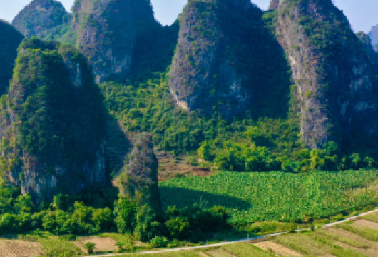 【私自团】清远英西峰林百年小赵州桥+彭家祠+T三茶园一天游【私家旅行：一单一团，不拼客，享专属旅行 品质服务：车上门接送，专职司机护航】