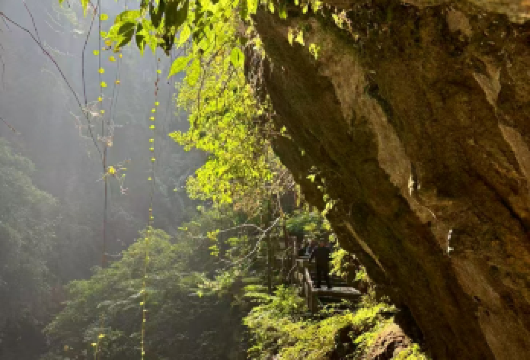 【2-8人】重庆武隆天生三桥龙水峡地缝乌江小渡含车门票一日游【● 纯玩品质团，全程不进购物店无任何强制消费】