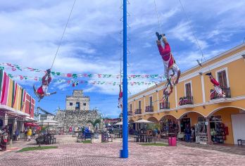 墨西哥城-蝴蝶谷自然保护区-静谧森林【多/日游全日定制】【[中文司导可选]提供基础接送或中文导游，满足不同旅客需求】