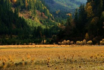 包车黄龙九寨高铁站/松潘高铁站接站---直达九寨沟VIP团【接站零等待，专业司机协助搬运行李，省去一切抵达后的繁琐手续。】