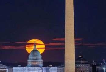 美国华盛顿白宫+国会大厦+华盛顿纪念碑-市区热门景点一网打尽【专属客服和本地中文司机，一家一团包车】