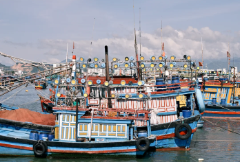 芽庄市内一日游【泥浆浴套】【1人起订】午餐+接送+导游【龙山寺：建于19世纪后期，在芽庄市区任何地方都能看见的 24米白色大佛】
