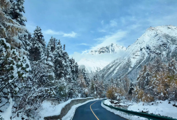 九寨沟+黄龙+四姑娘山+墨石公园+木格措+红海子2-8人拼团【9座保姆车出游、纯玩购物，随车配备无人机或单反相机。】