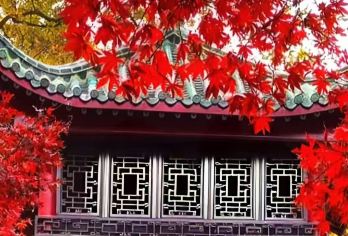 橘子洲+岳麓山+湖南大学小吃街+五一广场+杜甫江阁【拥有厚重的湖湘文化、年轻化的现代文娱地标、历史人文与青春潮流的碰撞。】