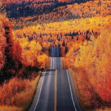 美国费尔班克斯迪纳利国家公园+乔治公园公路【中文定制包车】