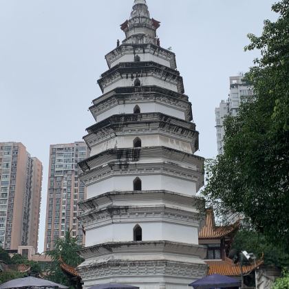 四川泸州老窖+尧坝古镇+张张坝桂圆林公园包车一日游中英文服务