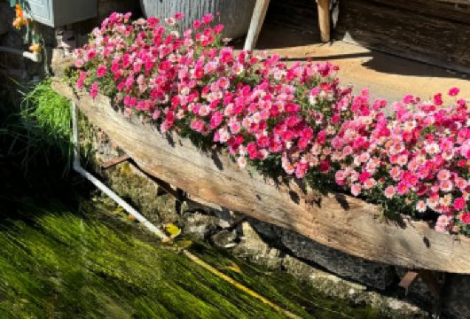 丽江-观音峡-束河古镇一日游【[品质保障]优选商品，品质拒绝购物、无自费】