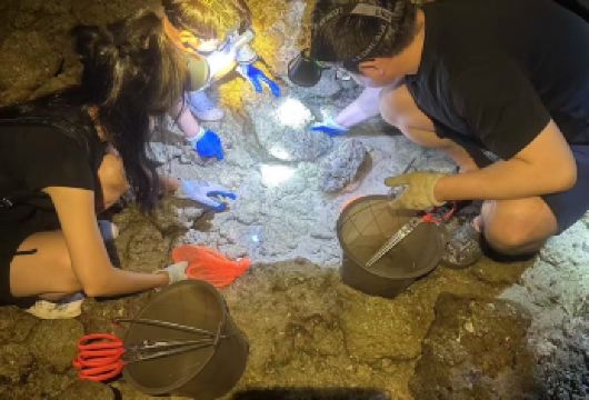 三亚小东海 赶海一对一家庭 拒绝拥挤 本地领队 收获免费现烤【网红小东海赶海点 专业领队陪同 专业工具提供】