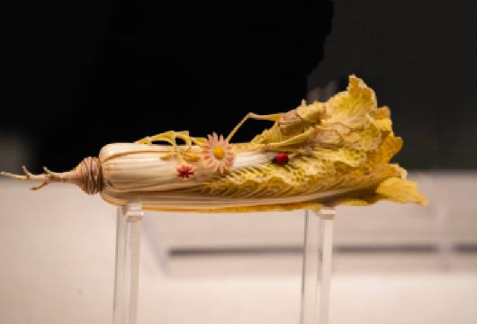 【趣豫说】河南博物院资深人工讲解包或拼团·可代约门票【[专业专注]专业执业15Y上人工讲解带您初豫河南】