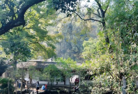 湖南岳麓书院+愛晚亭半日游【含门票+大咖讲解+赠送耳麦】【[自在畅游]告别繁琐预约，行程灵活随性，您的岳麓之旅只关乎风景与心情】