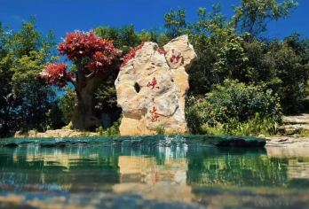 白帝城·瞿塘峡景区+三峡之巅一日游【【自选优惠门票·接送站】【[服务保障]自营，专业定制渝东北旅游10年，让你自由、省心、有保障，无套路完美品质游】