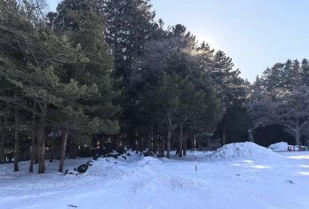 日本札幌市区历史文化探索/可小樽登别富良野北海道多日包车精选【包车一日游，解锁旅行新方式！独立车辆配备经验丰富的老司机，为您量身打造专属行程。】