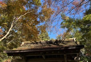 日本京都-琉璃光院-三千院-贵船神社-红叶满天 京都巡礼【专业行程定制，精选热门景点，高效游玩不走回头路，贴心服务保障，轻松】