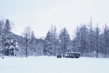 日本北海道旭川动物园｜白须瀑布｜札幌往返｜中文专车【尊享一对一高端行程定制，多日豪华包车专属礼遇，专业旅行顾问24小时恭候垂询。】