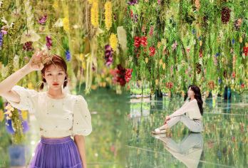 韩国南怡岛+加平秋海棠鸟园+江村铁路自行车一日游（首尔出发）【南怡岛四季浪漫｜漫步林荫大道，感受《冬季恋歌》取景地的唯美氛围，情侣与家庭游客的热门选择。】