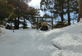 日本札幌+大通公园+白色恋人公园一日游/行程可调-可定制多日【包车一日游，解锁旅行新方式！独立车辆配备经验丰富的老司机，为您量身打造专属行程。】