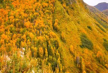 北灵山驴友后花园屋顶山脊-高山草甸 10公里徒步穿越【纯玩无购物】