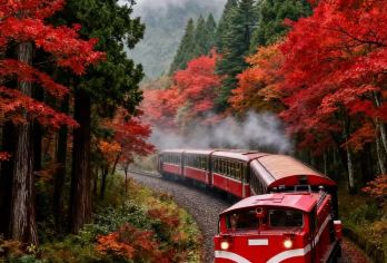 台湾嘉义+阿里山+触口龙隐寺+奋起湖老街一日游/经典打卡【VIP包车，私密性好，不与陌生人拼车/行程可调 可定制】