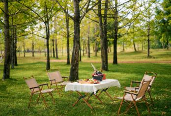 腾冲银杏村1日游【下午茶+旅拍】【[精美下午茶+旅拍打卡]，一站式服务、上门接送】
