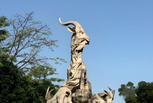 广州一日活动+花城广场+陈家祠+黄埔军校+越秀公园【[广州全景游]自然风光+历史足迹+人文+一线城市风光，含接送+午餐，真正的实惠】