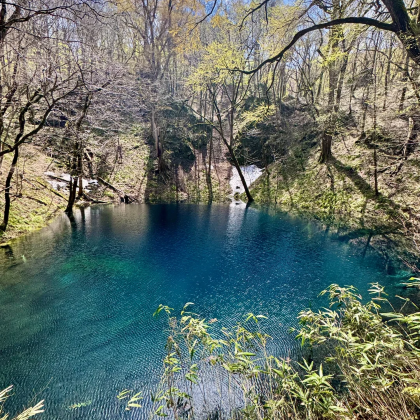日本青森一日游|白神山地·青池+十二湖散策+千叠敷海岸 包车