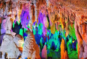 云南九乡一日游【▼赠送索道▼纯玩不进店▼金牌导游】【[游玩品质]真正纯玩，无购物，给游客充足时间饱览美景，身临其境感受地下溶洞地貌奇观！】