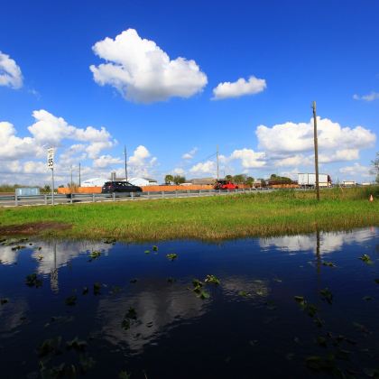 美国迈阿密-大沼泽地国家公园一日游【中文包车自由行】