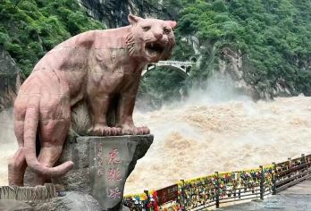 丽江+上虎跳峡+香格里拉一日游【5·9座拼车+8点、13点】【（单程） 纯玩5-9座车型拼车+门票，2人起拼，舒适5座车，7~9座商务车，视人数随机安排车子】