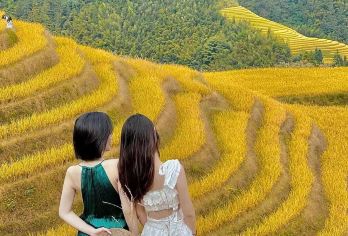 桂林龙脊梯田+金坑梯田+黄洛瑶寨一日游：纯玩+商务车【[玩转龙脊不重样]桂北民族风情+吊脚楼+壮美梯田龙脊神韵，回归自然与淳朴的本质！适合亲子游家庭，团建】