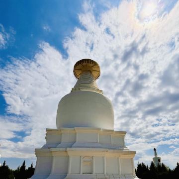 武威天梯山石窟+乌鞘岭+抓喜秀龙草原+白塔寺1日游·上门接送