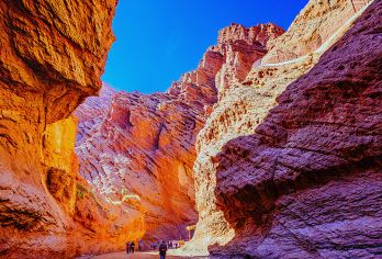 马蹄寺+七彩丹霞一日游【1-8人精品小团 纯玩无购物】