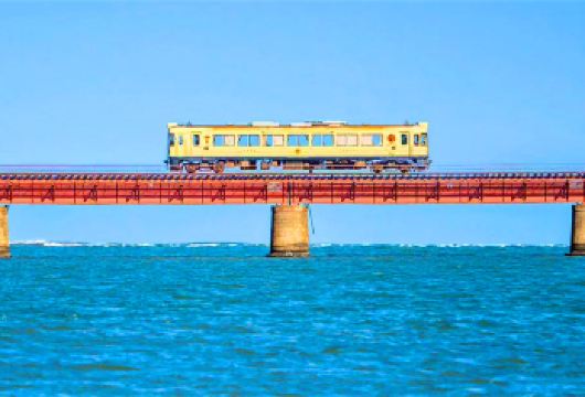 京都丹后海上列车+天桥立+伊根舟屋一日游，含列车费用可含船【丹后海上列车体验（含223D号列车费用），进入《千与千寻》世界，恍如置身现实版的吉卜力童话】