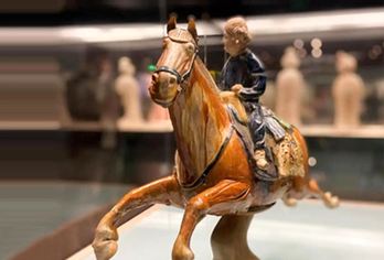 秀才长安【西安博物院+小雁塔】+2h深度讲解+耳麦-含票【西安博物院门票+2深度讲解+无线耳麦】