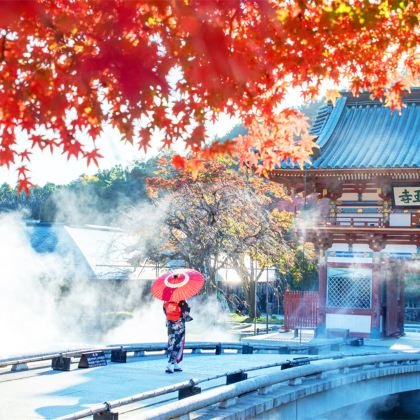 大阪胜尾寺+京都岚山+美山合掌村一日游