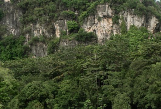 广西贵港老街+东湖+平天山森林公园+南山寺一日游可中英文服务【可提供中英文及小语种导游服务-往返接送-可选导游】