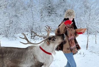【长白山】二道白河+雪岭/老里克湖包车1日游【本品为包车小团，[二道白河镇上酒店往返]。平台下单包车安全有保障。】