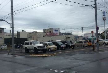 日本北海道+旭山动物园+青池一日游/行程可调-可定制多日游【专属客服和本地中文司机，一家一团包车】