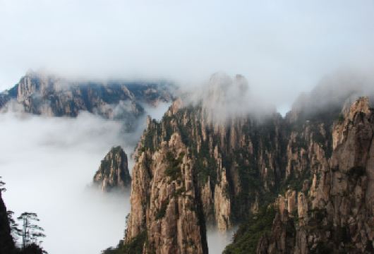 黄山精华一日游:迎客松+光明顶+使信峰【打卡迎客松、光明顶、始信峰三大核心景点，尽览黄山奇松云海】