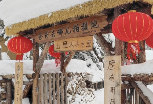 尚志亚布力熊猫馆+亚布力森林小火车包车一日游【亲子自然奇遇：探访可爱大熊猫，搭乘童话森林小火车，开启家庭欢乐一日。】